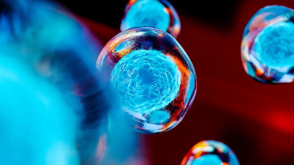 Inteligência artificial e as descobertas sobre linhagens celulares