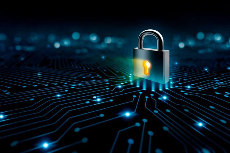 Segurança virtual, um direito de todo cidadão digital