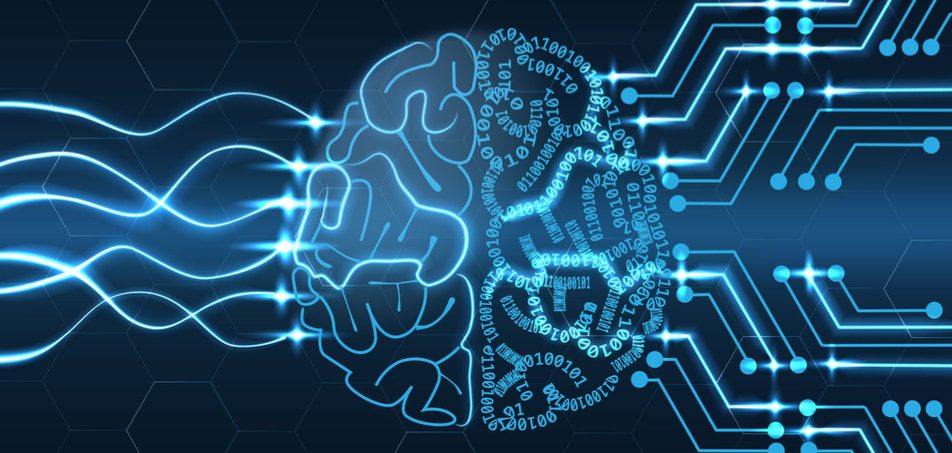 Inteligência artificial para preservar baleias