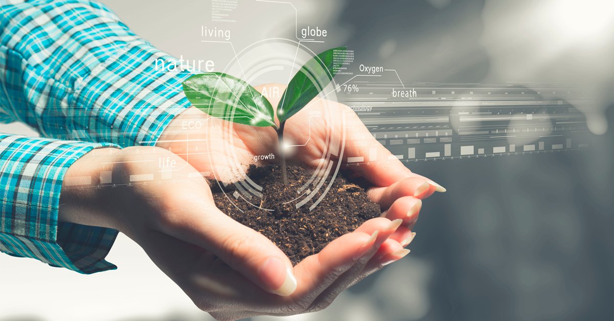 A transformação digital como aliada da sustentabilidade