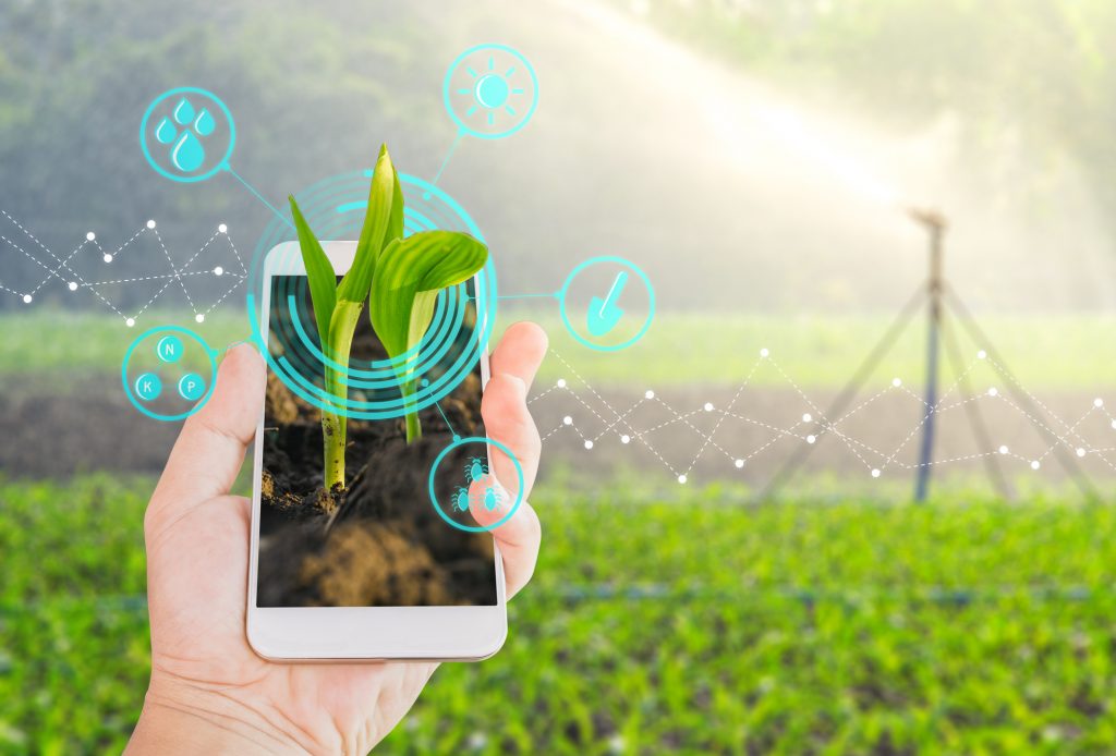 Tecnologias que serão tendências no agronegócio em 2022