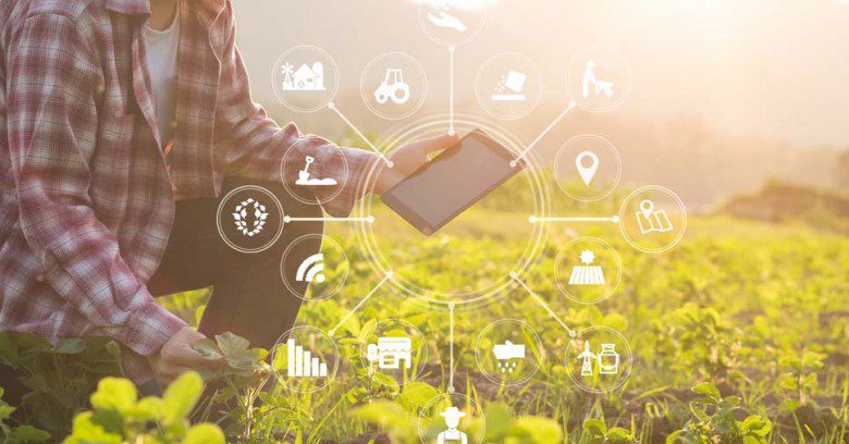 Plataforma digital para facilitar financiamento agrícola