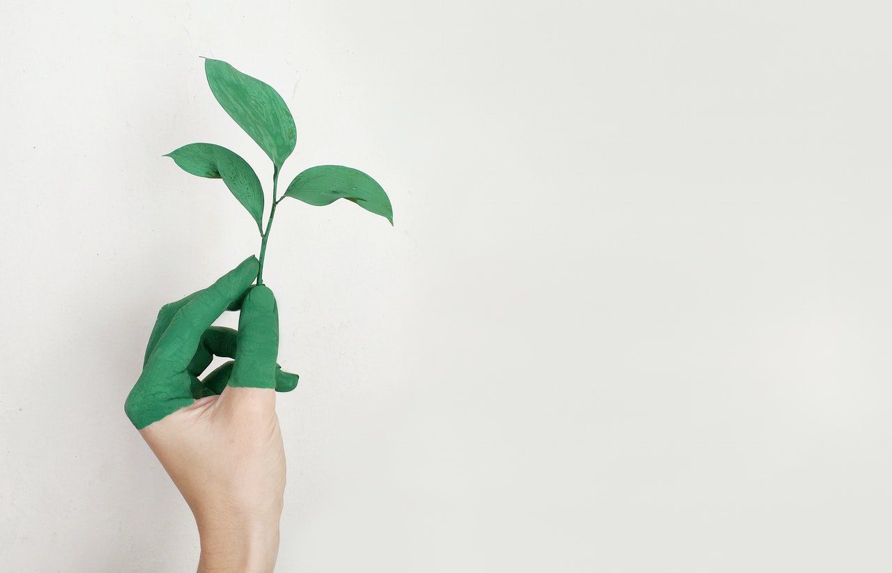 StartSe promove evento para empresas que buscam implementar e avançar em ESG
