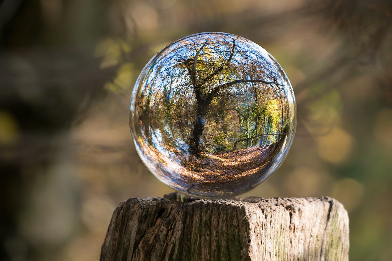 Conheça 5 tecnologias que estão salvando o meio ambiente