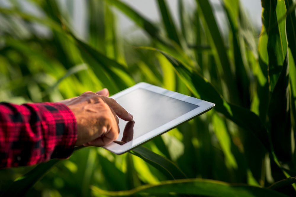 Aumento de ataques cibernéticos representa ameaça ao setor do agronegócio