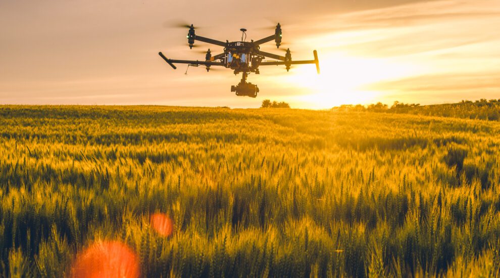 Sem dados, não há conservação. Como a tecnologia virou peça-chave na proteção da biodiversidade